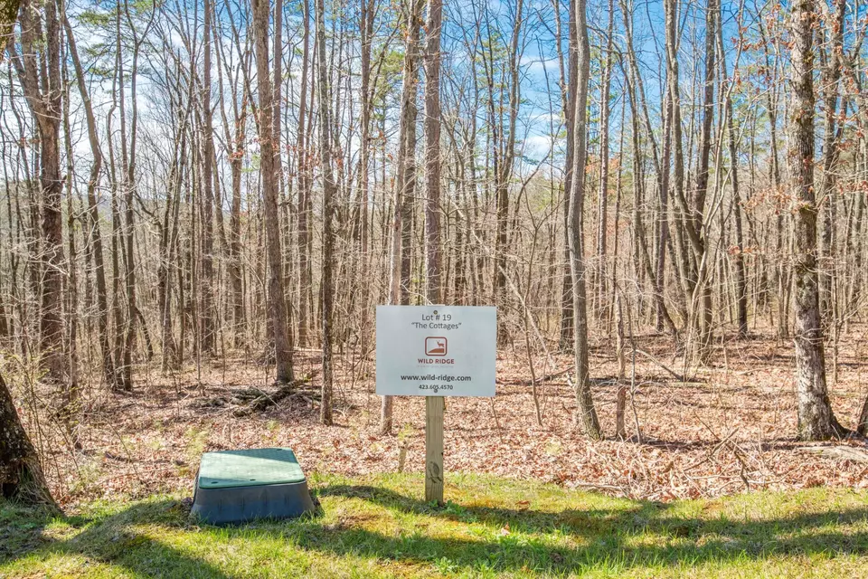  3502 Sweetshrub Way, Signal Mountain, TN 37377 photo 1