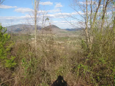 265 Bob White Rd, Ocoee, TN 37361 photo 8