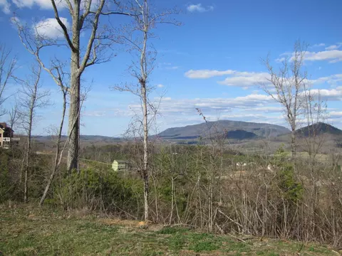 265 Bob White Rd, Ocoee, TN 37361 photo 6
