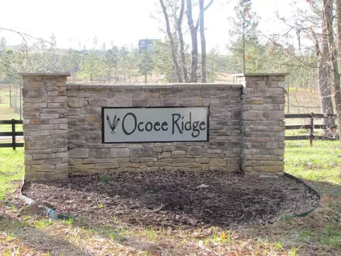 265 Bob White Rd, Ocoee, TN 37361 photo 18