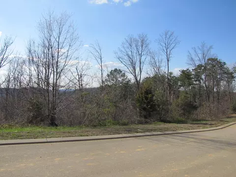 265 Bob White Rd, Ocoee, TN 37361 photo 10