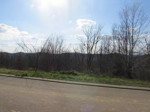 265 Bob White Rd, Ocoee, TN 37361 photo 7