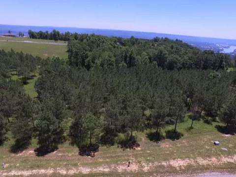 195 Bobcat Trl, Jasper, TN 37347 photo 5