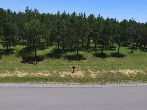 195 Bobcat Trl, Jasper, TN 37347 photo 3