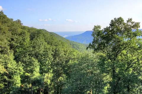 195 Bobcat Trl, Jasper, TN 37347 photo 26