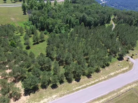 195 Bobcat Trl, Jasper, TN 37347 photo 15