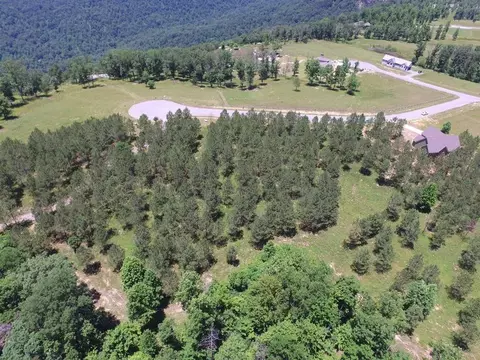 195 Bobcat Trl, Jasper, TN 37347 photo 9