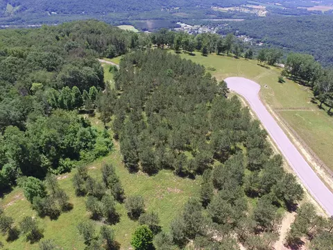 195 Bobcat Trl, Jasper, TN 37347 photo 10