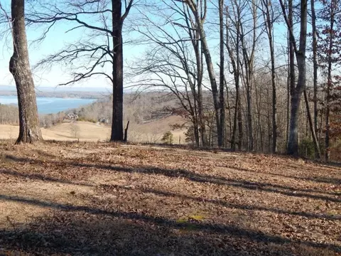9864 Caseview Drive Dr, Harrison, TN 37341 photo 1