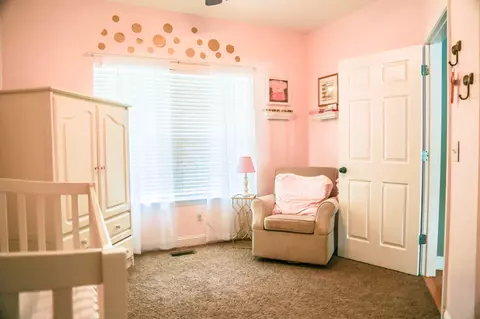 870 Windrush Loop, Chattanooga, TN 37421 photo 5