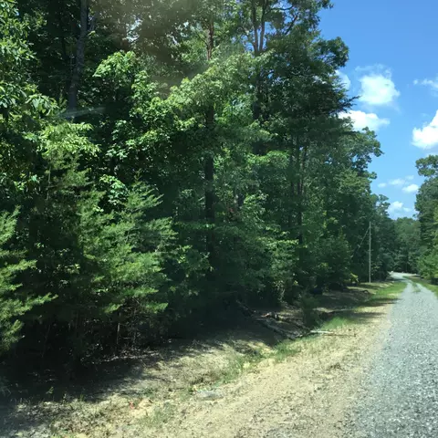 136 Everett Rd, Menlo, GA 30731 photo 5