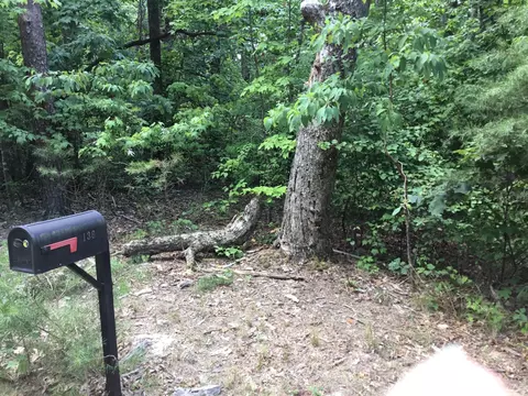 136 Everett Rd, Menlo, GA 30731 photo 6