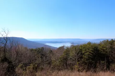 170 Chesadu Cir, South Pittsburg, TN 37380 photo 20