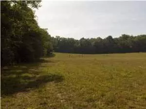 12801 Thatch Rd, Harrison, TN 37341 photo 2
