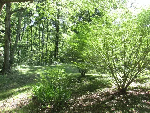 6915 Fredonia Rd, Dunlap, TN 37327 photo 18