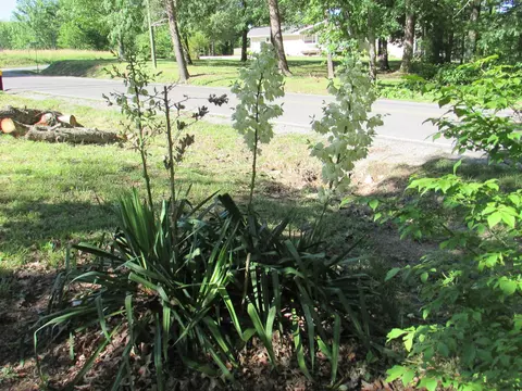 6915 Fredonia Rd, Dunlap, TN 37327 photo 54