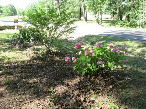 6915 Fredonia Rd, Dunlap, TN 37327 photo 53