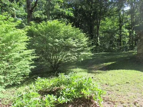 6915 Fredonia Rd, Dunlap, TN 37327 photo 19