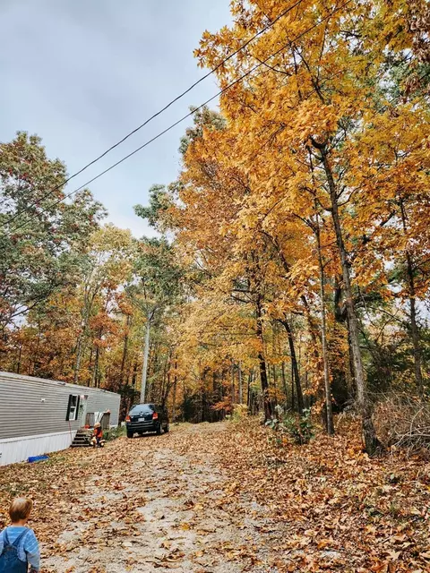 7017 Pitcher Pl, Harrison, TN 37341 photo 2