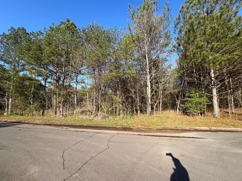 61 Piedmont St, Chatsworth, GA 30705