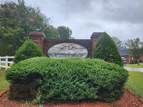 17 N Steeplechase Dr, Mcminnville, TN 37110