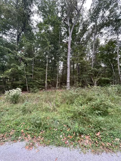 0 Rimfire Dr, Beechgrove, TN 37018 photo 2