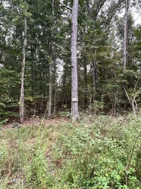0 Rimfire Dr, Beechgrove, TN 37018