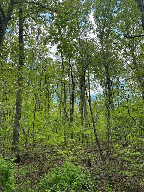 1 River Rd, Decatur, TN 37322