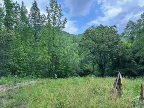 911 Egypt Hollow Rd, Whiteside, TN 37396