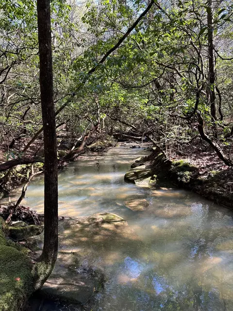 15 Thomas Springs Rd, Crossville, TN 38572