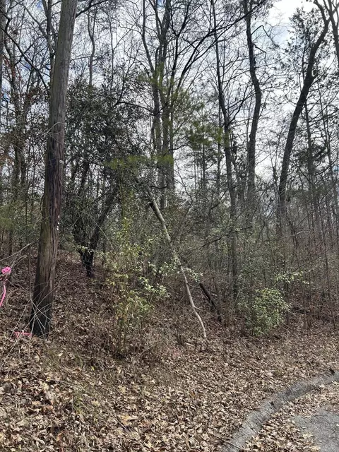 5 Lamont Ln, Chattanooga, TN 37415