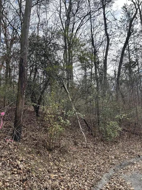 5 Lamont Ln, Chattanooga, TN 37415