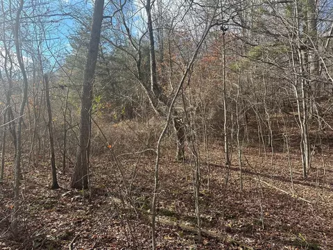 18 Pocket Rd, Whitwell, TN 37397
