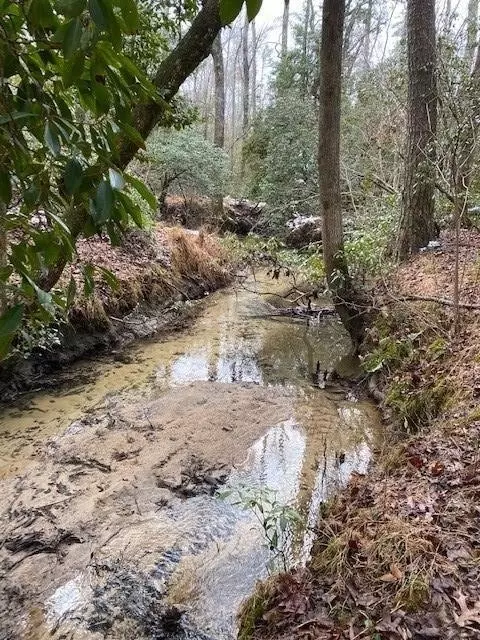 2069 Colony Rd, Gruetli Laager, TN 37339