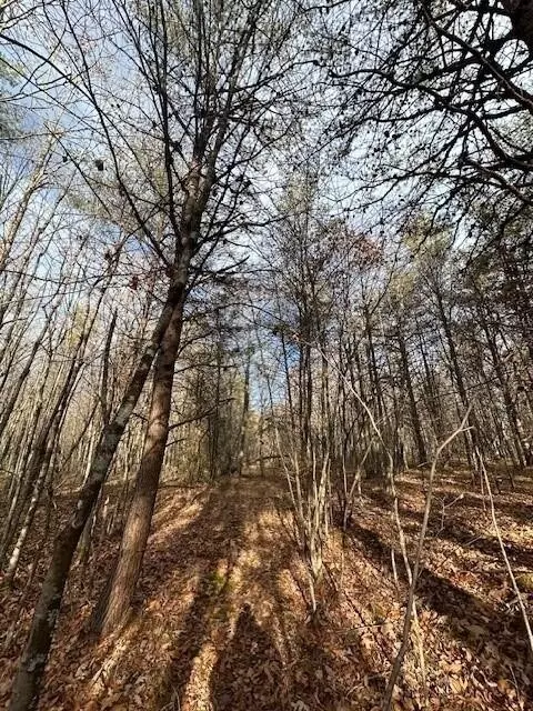 8 Hwy 150, Sequatchie, TN 37374 photo 3