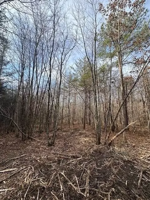 8 Hwy 150, Sequatchie, TN 37374