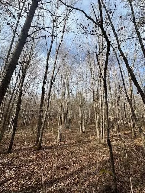 8 Hwy 150, Sequatchie, TN 37374 photo 2