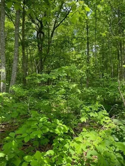 9 Blumont Dr, Altamont, TN 37301
