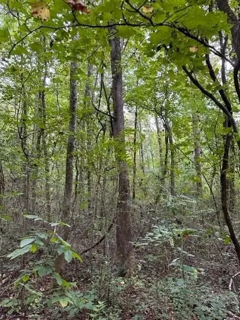 225 Webster Rd, Whitwell, TN 37397