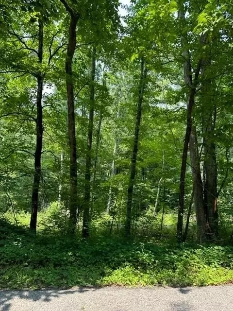 100 River Rd, Decatur, TN 37322