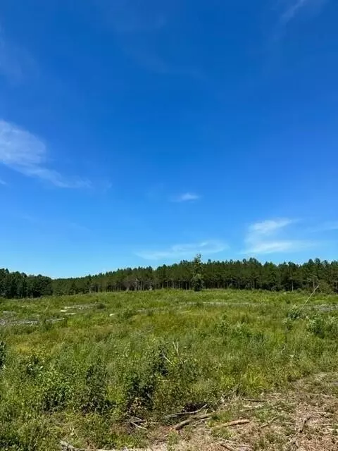 10 Dykes Hollow Rd, Tracy City, TN 37387