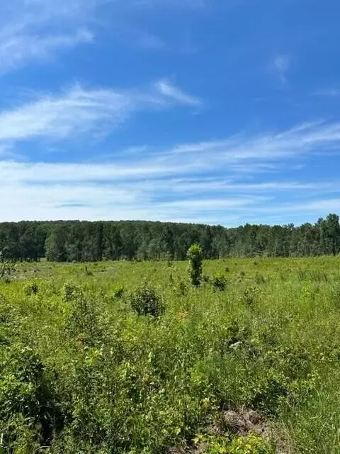 4 Dykes Hollow Rd, Tracy City, TN 37387