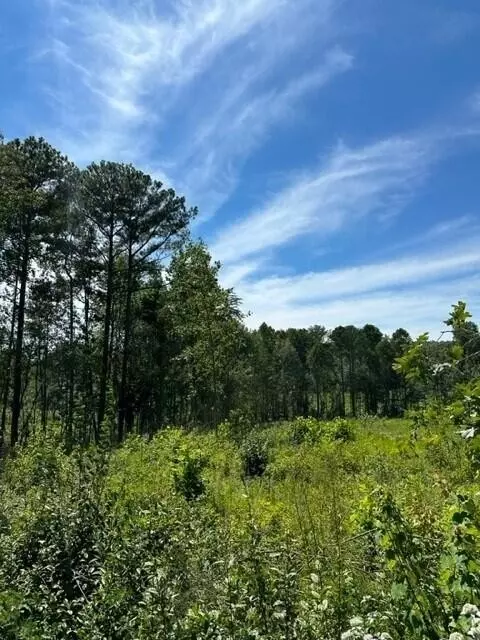 7 Dykes Hollow Rd, Tracy City, TN 37387