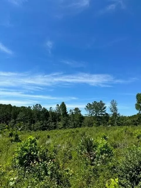 6 Dykes Hollow Rd, Tracy City, TN 37387