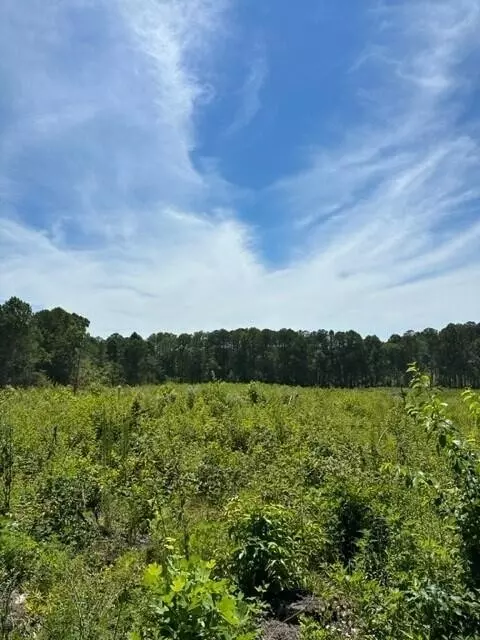 5 Dykes Hollow Rd, Tracy City, TN 37387