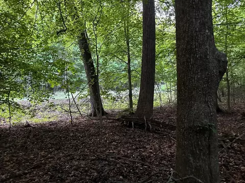34 Jackson Point Rd, Sewanee, TN 37375 photo 6