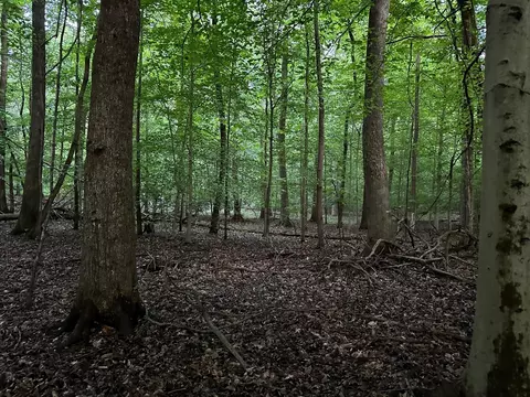 34 Jackson Point Rd, Sewanee, TN 37375 photo 2