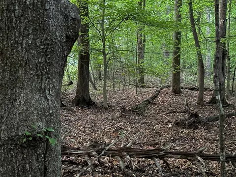 34 Jackson Point Rd, Sewanee, TN 37375 photo 5