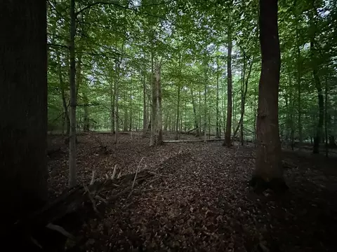34 Jackson Point Rd, Sewanee, TN 37375 photo 3