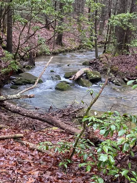 6 Thomas Springs Rd, Crossville, TN 38572